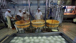 Поне месец е нужен за възстановяване на продажбите на моцарела