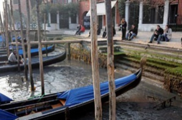 Властите във Венеция глобяват туристи, които хранят гълъбите