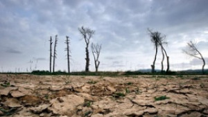 Австралия се моли за дъждовни години след рекордни горещини