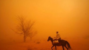 Инвентаризация на Ноевия ковчег предстои в Бон