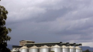 Световната банка Цените на храните ще останат високи с години
