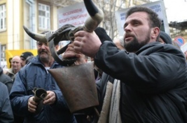 Млекопроизводителите готови на протести заради субсидиите