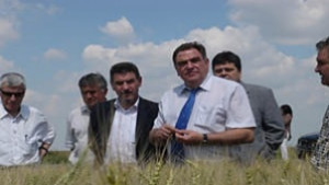 До петък решават агенция или дирекция по храните