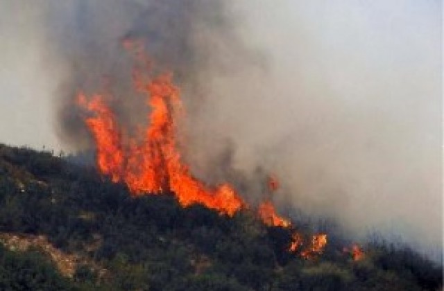 Пожар застрашава над 500 къщи в Северна Калифорния