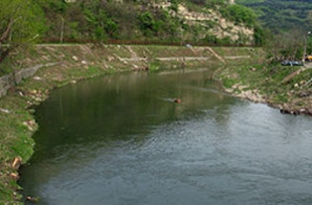 Замърсена е реката при село Чурек, има умряла риба