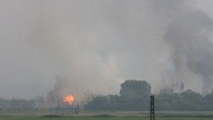 Без паника радиация няма