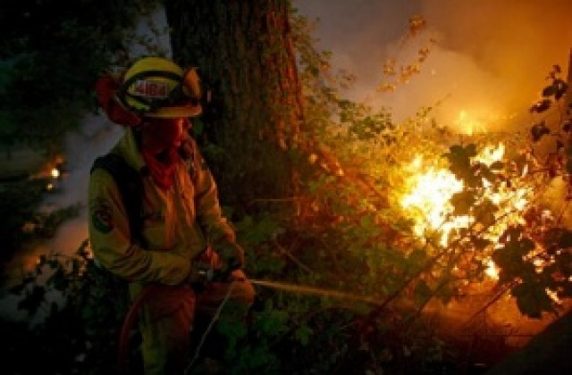 Калифорния очаква чуждестранна помощ за потушаване на пожарите