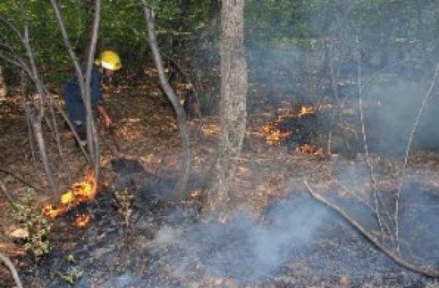 Три горски пожара бушуват в Гърция
