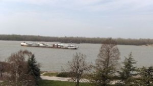 90 смелчаци преплуваха Дунав край Свищов