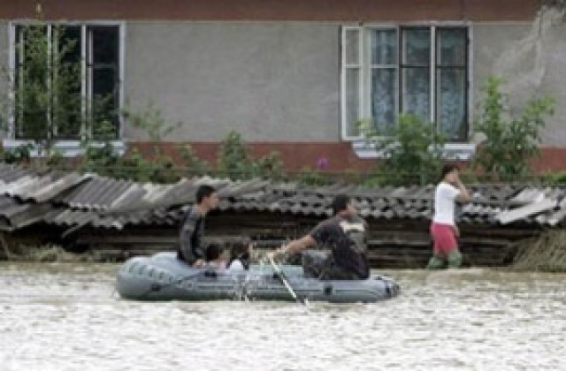 Изсичането на горите е една от паричните за наводненията в Украйна