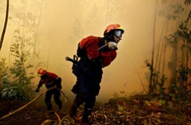 Огнеборци атакуват и петте огнища на пожара в Свиленградско
