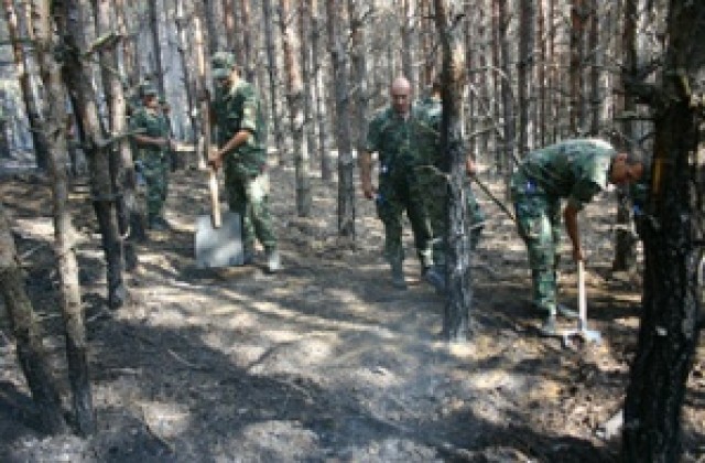 Непредпазливост изгори хиляди декари в Свиленградско
