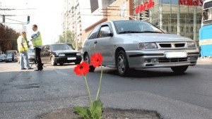 Сложиха гербер в улична дупка