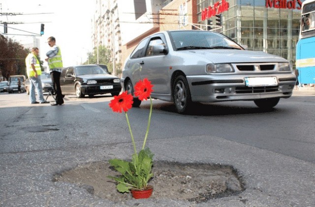 Сложиха гербер в улична дупка