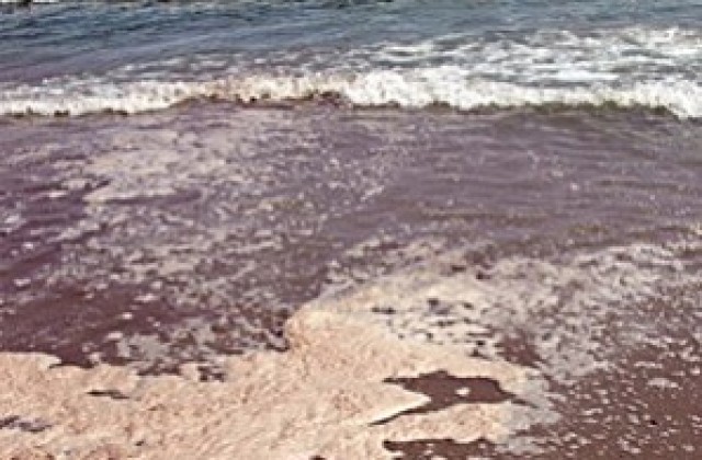 Ново петно на варненския плаж в Аспарухово