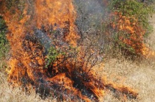 Огнеборци гасят пожари в цялата страна