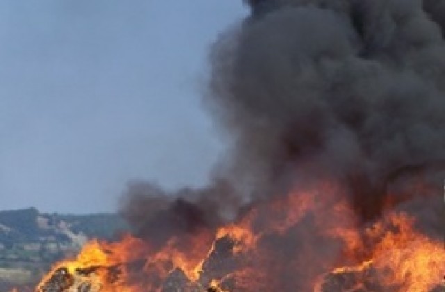 Психично болен запалил пожара между Златоград и Джебел