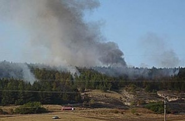 Около 800 000 лева струва гасенето на пожара в Рила
