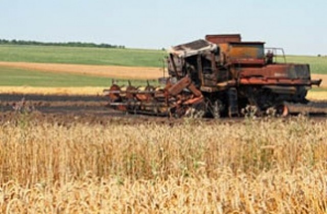Земеделци сеят френска и австрийска пшеница заради скъпото гориво