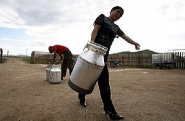 Кризата в Китай с меламина обхвана и течното мляко