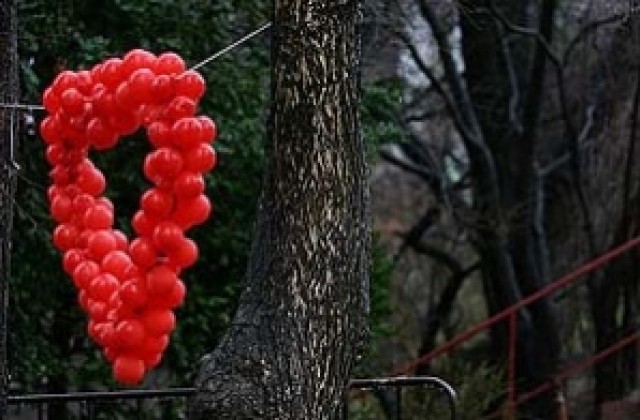 105 години без секс