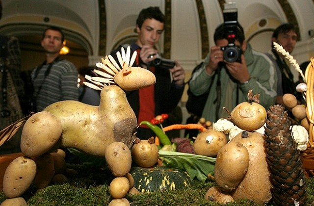 Изложба на картофи организират в земеделското министерство