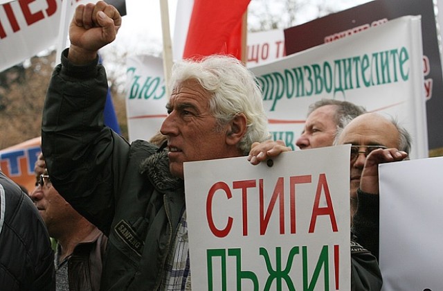 Зърнопроизводители протестират в столицата