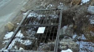 Клубове организират незаконни посещения в Духлата