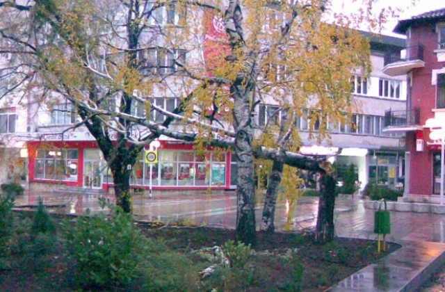 Пъривят сняг дойде след буря
