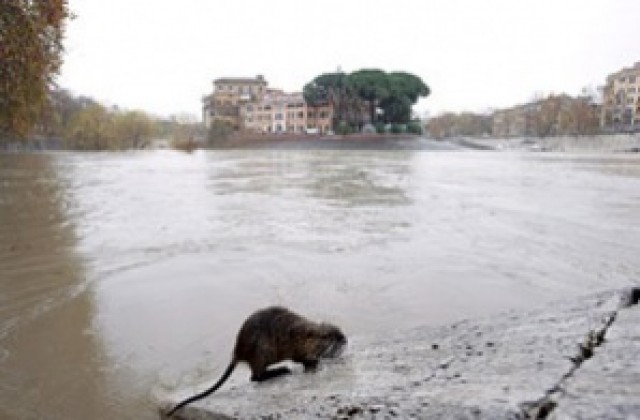 Тибър прелива, Рим е в тежко положение заради дъждовете