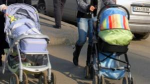 Всеки ден ин виво