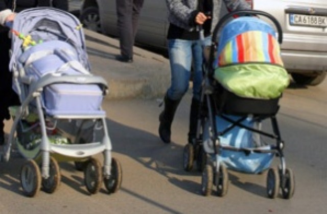 Всеки ден ин виво!