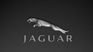 Jaguar с рекорден ръст в продажбите за 2008 г