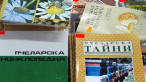 Обучават начинаещи пчелари в Добрич