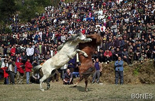 Бой на коне в китайската Лунна Нова година