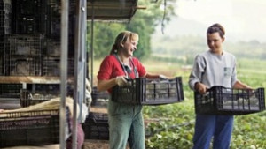 Отваря ли се наистина швейцарският трудов пазар за българи