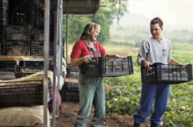 Отваря ли се наистина швейцарският трудов пазар за българи?