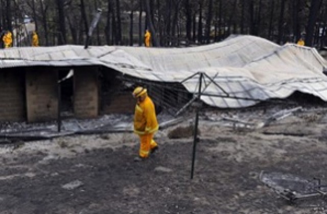 Пожарите в Австралия взеха 200 жертви