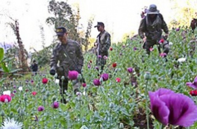Наркотици за милиони лири бяха конфискуваха при акция в Афганистан