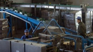 ООН иска помощ за работници имигранти в държавните планове със