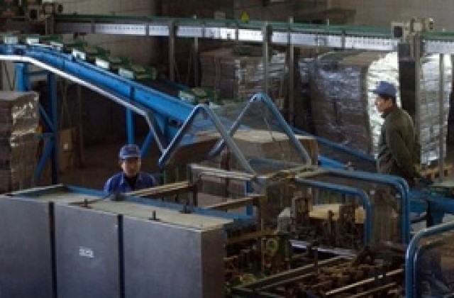 ООН иска помощ за работници имигранти в държавните планове със стимули