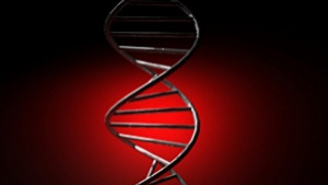 Да се преродиш в Мария Мургина