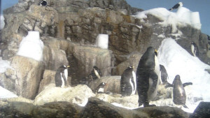 Войната за съкровищата на Арктика