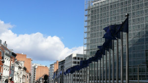 Единство по време на криза