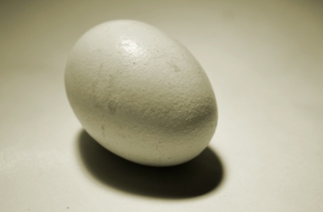 Консумацията на големи яйца е проява на жестокост към кокошките