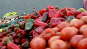 На опашката сме в Европа по внедряване на сертификат за