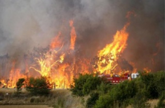 Пожар бушува в планинска верига в Португалия