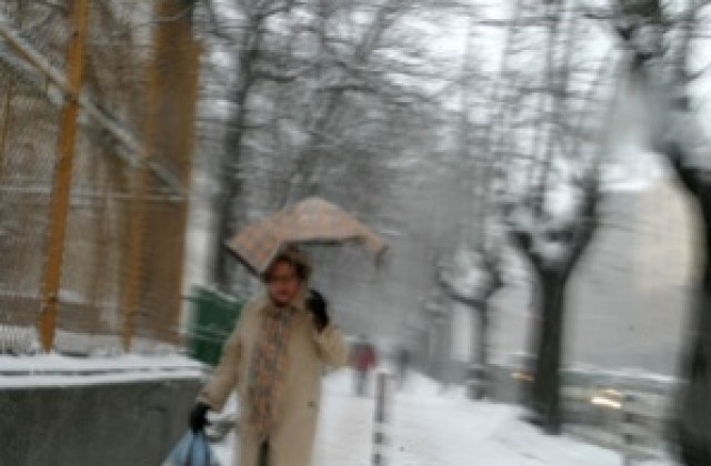 Сняг затрупа кварталите под Витоша