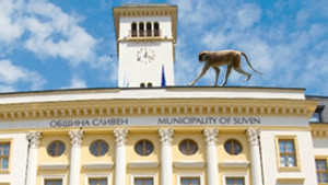 Маймуна спря градския часовник в Сливен и нахълта в кметския
