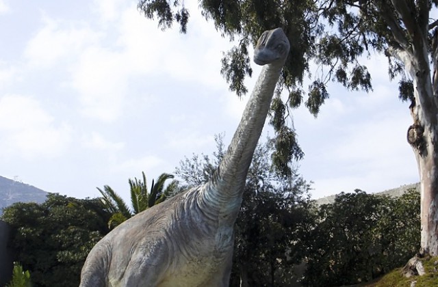 Дълговратите динозаври не били като жирафите